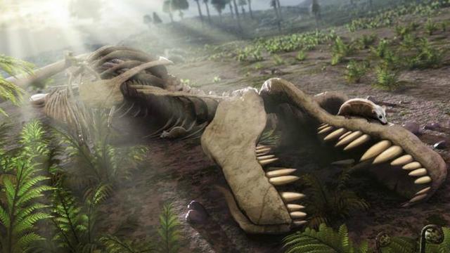 Dinosaurus Sekarat Sebelum Punah Dihantam Asteroid Global Liputan6 Com