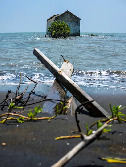 Hingga saat ini 200 rumah penduduk tenggelam akibat abrasi tersebut. Warga pun terpaksa kehilangan mata pencaharian sebagai nelayan. Tampak dalam foto yang diambil pada 29 Juli 2025 menunjukkan sebuah rumah yang terbengkalai dan sebagian terendam air, hilang akibat kenaikan pasang surut yang disebabkan oleh perubahan iklim, di Desa Semonet, Pekalongan, Jawa Tengah. (BAY ISMOYO/AFP)