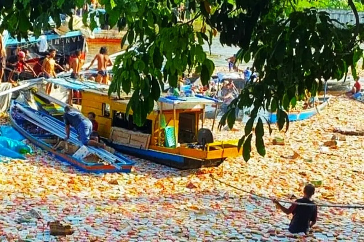 Ribuan bungkus mie instan mengambang di Sungai Siak setelah kapal karam di pelabuhan rakyat.