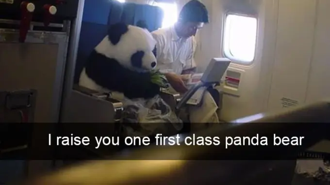 [Bintang] 10 Penampakan Kocak yang Pernah Ada di Dalam Pesawat!