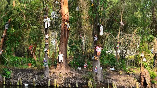 Petualangan Misterius di Pulau Boneka Meksiko, Menantang Kengerian atau Hanya Mitos Belaka?
