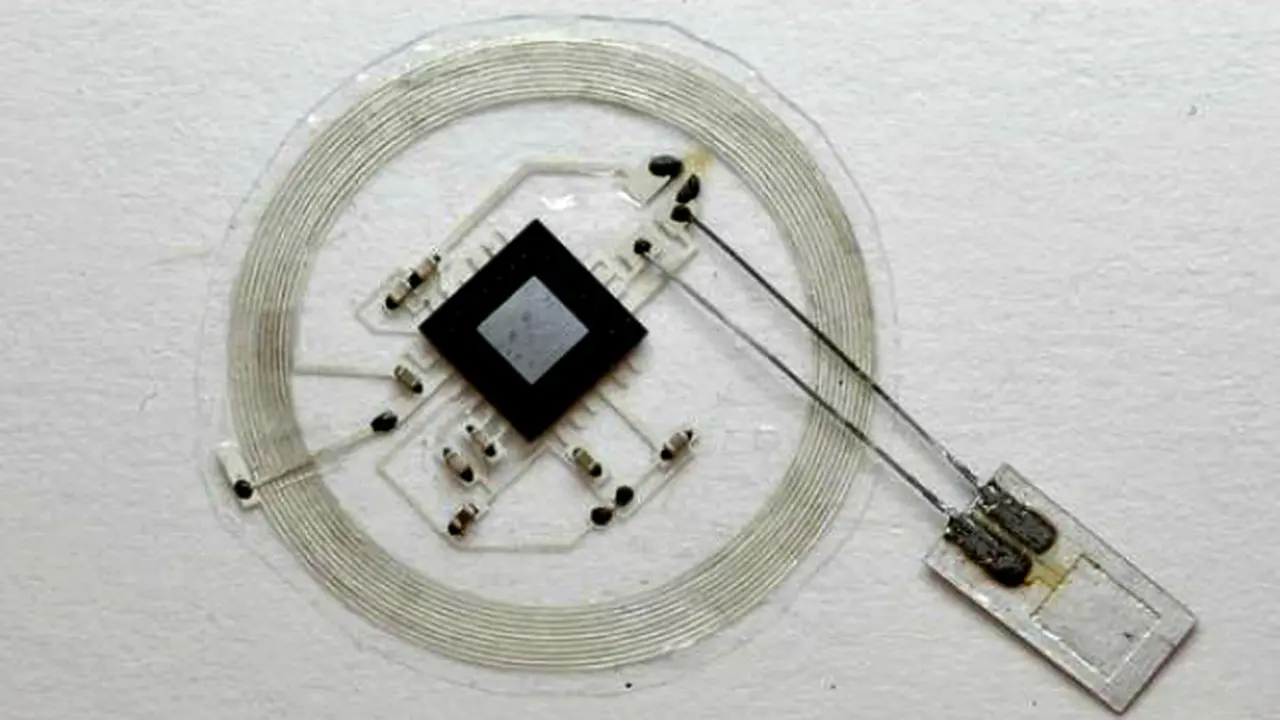 Sensor Otak Ini Meluruh Setelah Masa Pakai