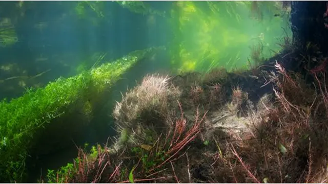 Foto: Natgeo/Michel Roggo