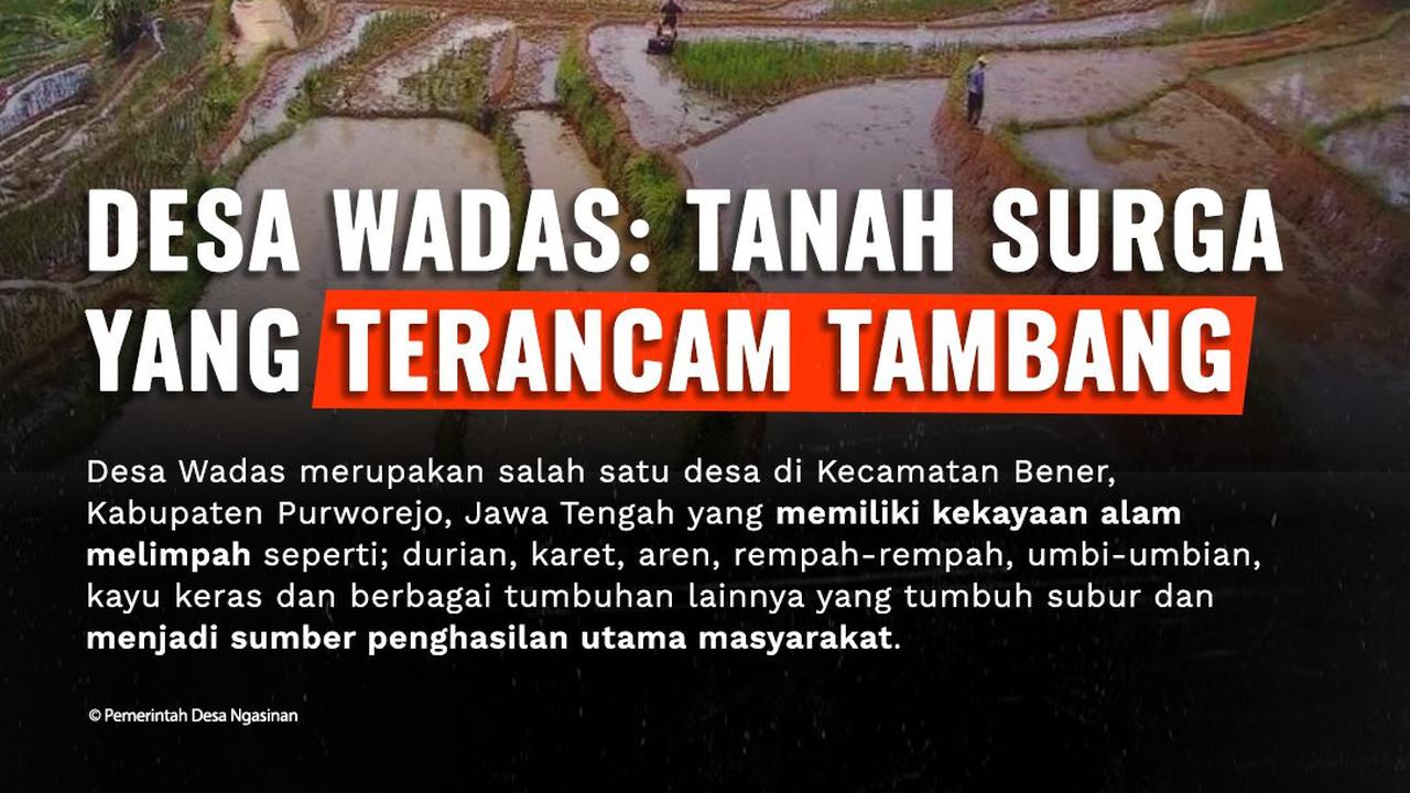 Desa Wadas dalam sorotan Greenpeace.