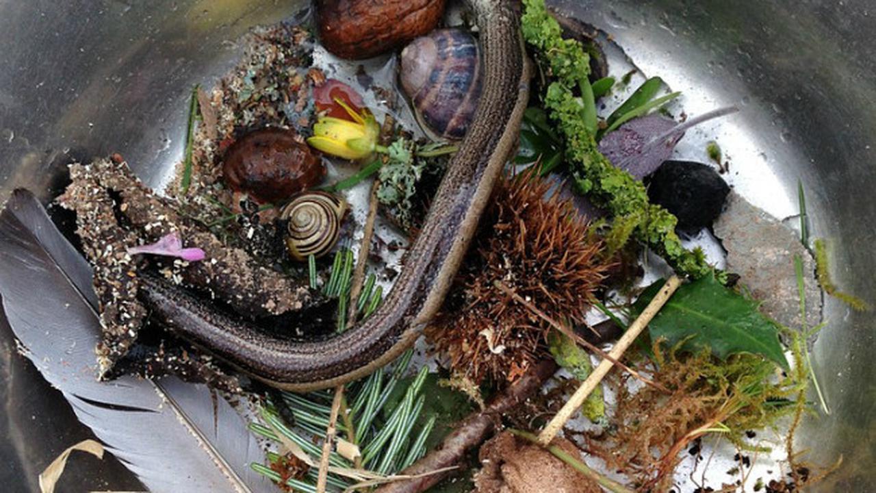 Tudingan sihir masa kini (2)