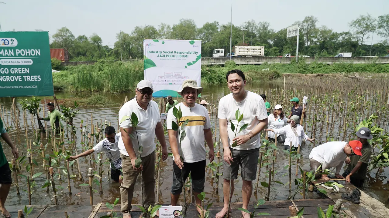Mangrove