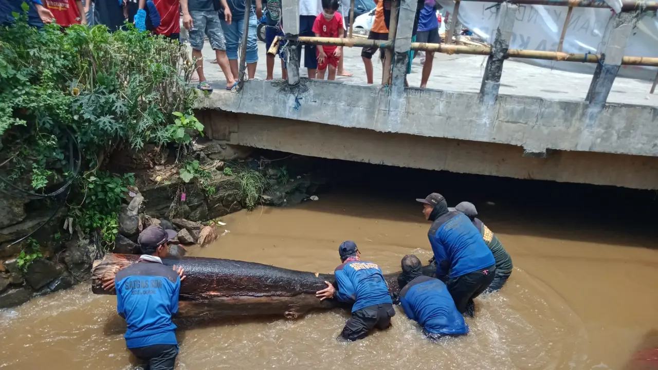 Satgas Banjir DPUPR Kota Depok mengevakuasi batang pohon yang menutup aliran sungai