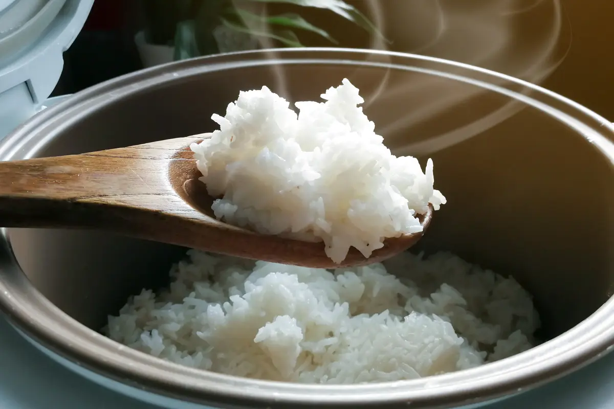rice cooker