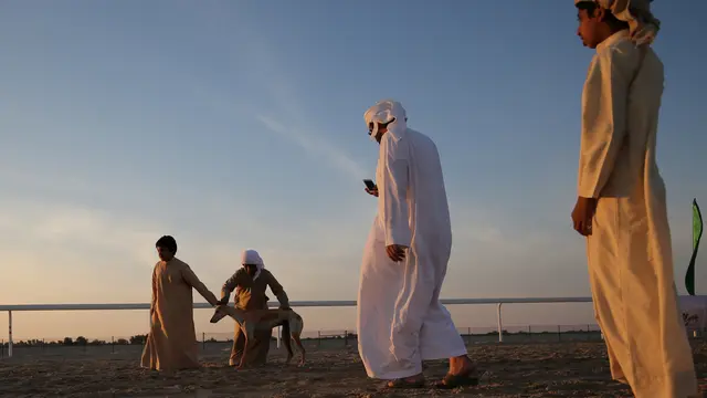 Balap Anjing Saluki Meriahkan Festival Unta di Abu Dhabi