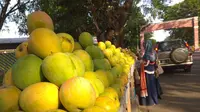 Berkah Lebaran, pedagang buah Mangga Gedong Gincu di Cirebon banyak diburu. Foto (Liputan6.com / Panji Prayitno)