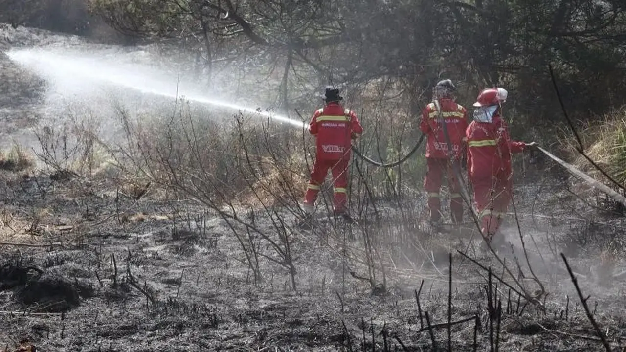Proses pemadaman Karhutlah kawasan Gunung Bromo