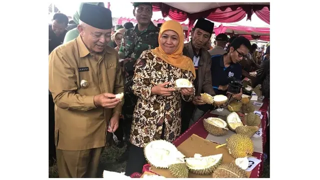 Gubernur Khofifah saat mengadiri festival durian di Malang terlihat sederhana dengan batik bercorak daun yang dipadukan dengan kerudung kuning.
