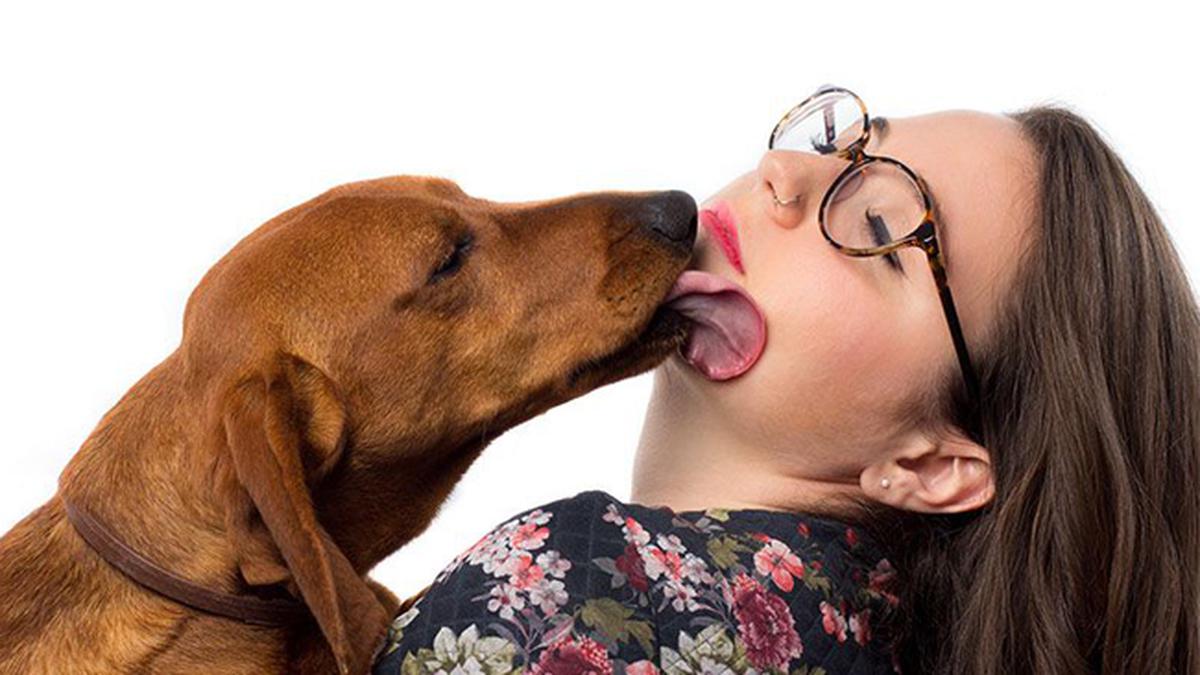 Животные лижут девушке. Собака облизывает. Собака облизывает девочку. Девушка целует собаку с языком. Собака облизывает девушку.