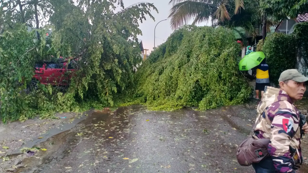 Pohon tumbang