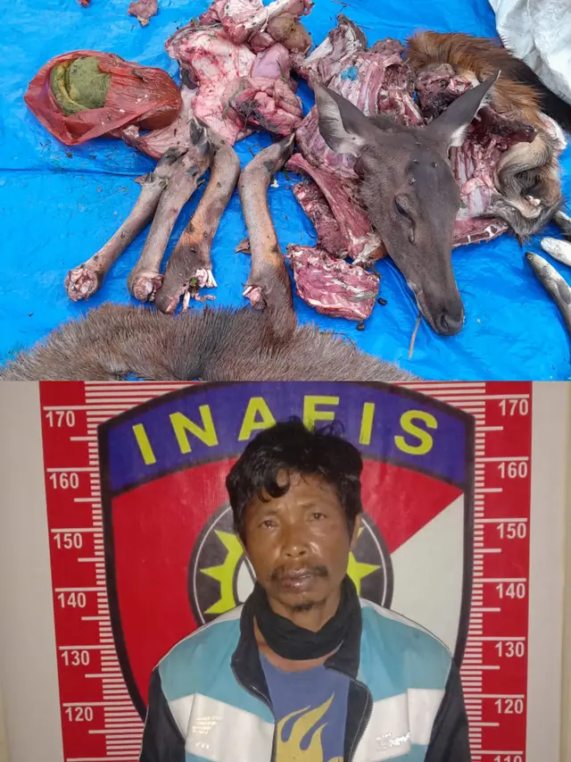 Satu pelaku pemburu satwa liar, ST (45) yang berhasil diringkus. Foto (Istimewa)