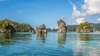 Teluk Triton, Permata Laut dari Kaimana Menyimpan Surga Bawah Air dan Tarian Paus di Ufuk Timur Papua