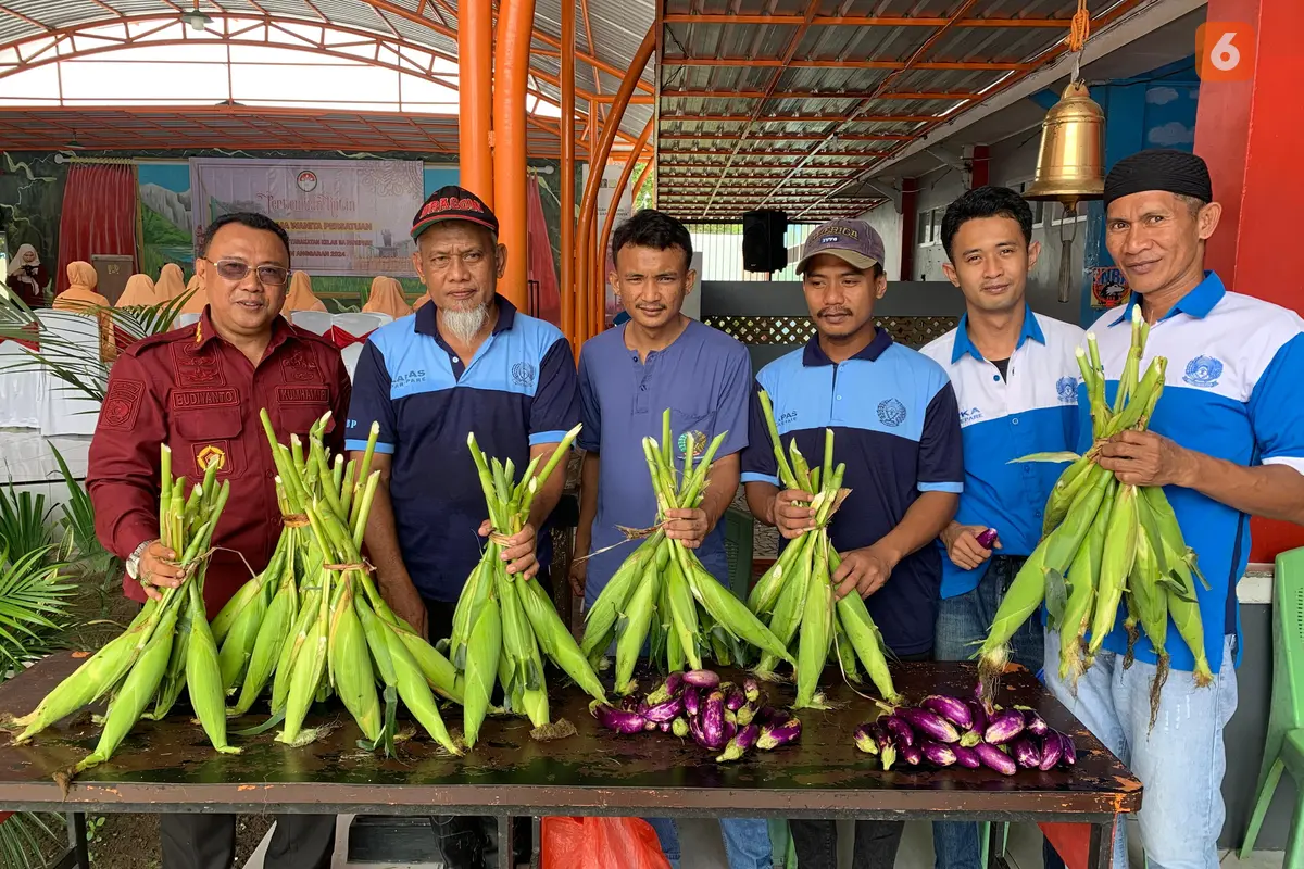 Warga Binaan Pemasyarakatan (WBP) Lapas Kelas IIA Parepare, Sulsel memanen perdana jagung dan terong di awal tahun 2024 (Liputan6.com/Eka Hakim)