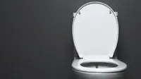 Ilustrasi toilet siram modern. (Unsplash/themacx)