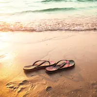 Ilustrasi Sandal/https://www.shutterstock.com/wing-wing