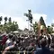 Ribuan alpukat habis dalam sekejap pada acara Gema Kating di Pasuruan. (Istimewa)