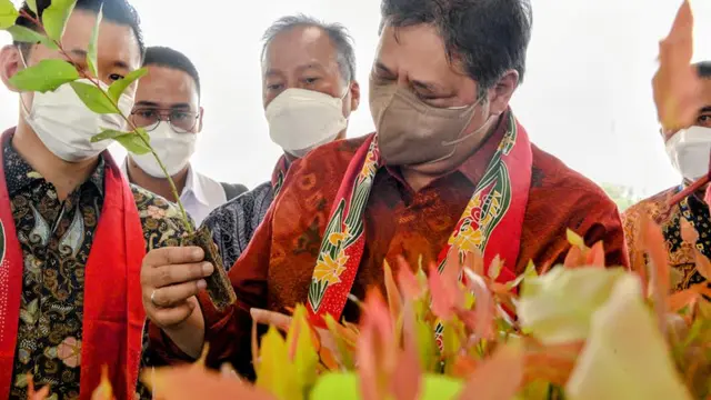 Menteri Koordinator Bidang Perekonomian Airlangga Hartarto saat melakukan kunjungan kerja ke Proyek Investasi Asia Pacific Resources International Limited (APRIL) Group di Pangkalan Kerinci, Kabupaten Pelalawan, Provinsi Riau, Selasa (29/03/2022).