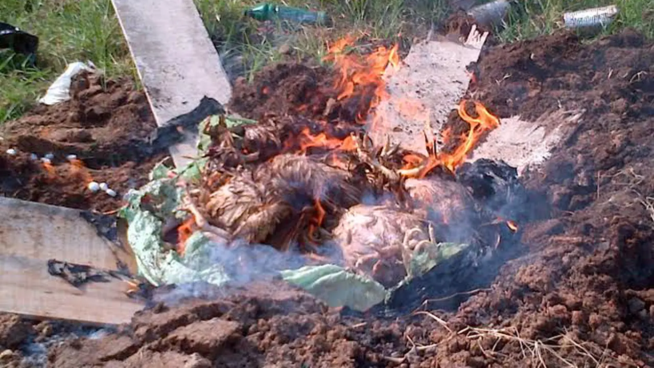 ayam Tiren