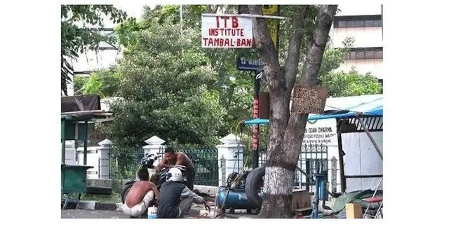 6 Tulisan Nyeleneh di Pohon Ini Tidak Jelas, Bikin yang Baca Jadi Bingung