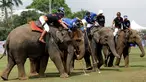 Sejumlah pemain berebut bola menggunakan tongkat saat mengikuti turnamen Polo Piala Raja Gajah di Bangkok, Thailand (9/3). Acara amal ini memperebutkan Piala Raja Gajah yang digelar tiap tahun. (AP Photo / Sakchai Lalit)