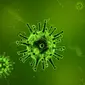 Ilustrasi virus. (Sumber Pixabay)