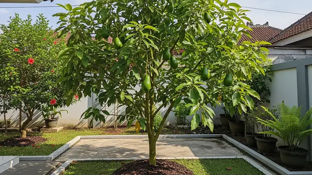14 Pohon Buah yang Tidak Mudah Diserang Ulat Daun, Pilihan untuk Kebun Organik