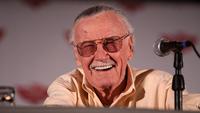 Top 10 Stan Lee Movies According to Rotten Tomatoes