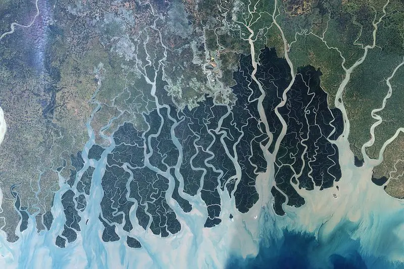Gambar Sundarbans yang diambil oleh Landsat 7 milik NASA (NASA Earth Observatory)