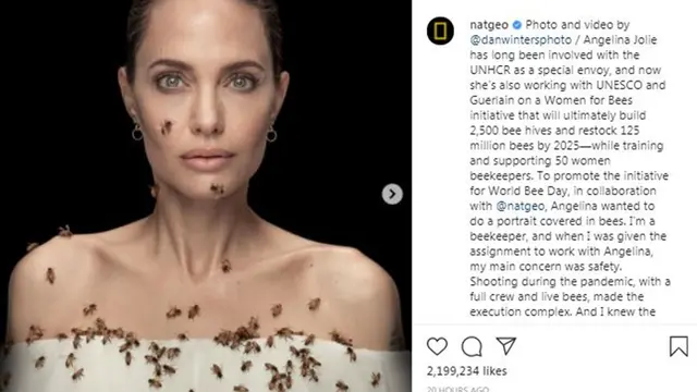 Angelina Jolie