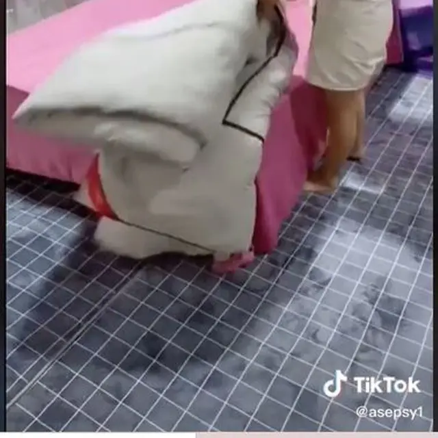 Viral Video Wanita Bersihkan Kamarnya yang Kumuh Berubah Jadi Mewah