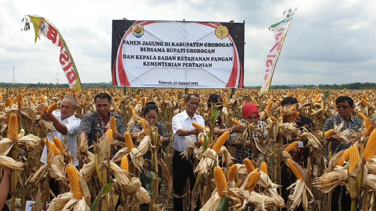 Kementerian Pertanian