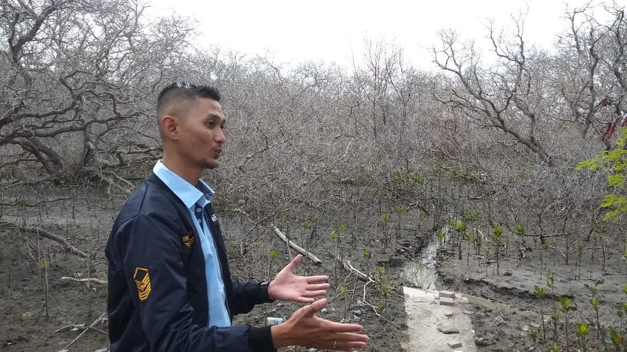 Pelindo III hentikan reklamasi Pelabuhan Benoa