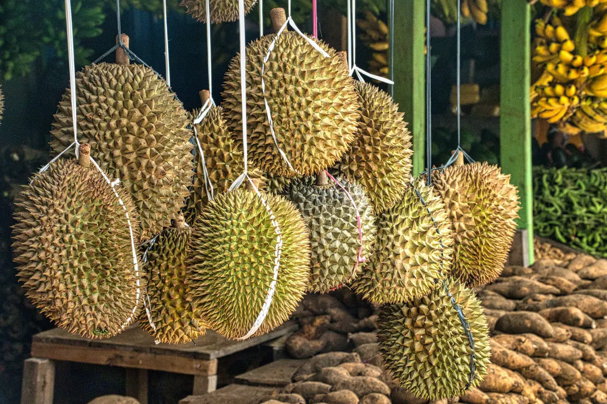 Tips Ini Bisa Mematangkan Buah Durian yang Masih Mentah dengan Lebih Cepat
