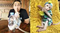 Potret Candy Laura, Monyet Pantai Peliharaan Irfan Hakim yang Jadi Sorotan. (Sumber: Instagram/irfanhakim75)