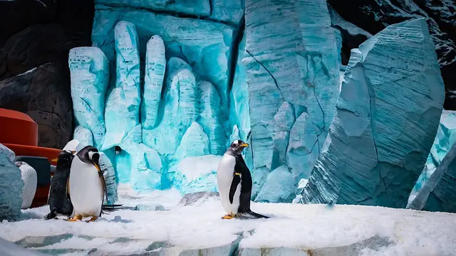 SeaWorld Yas Island