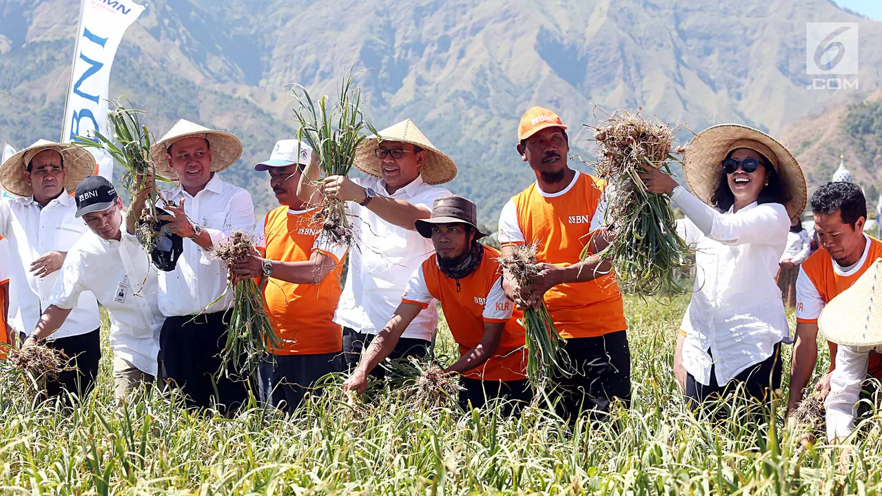 PHOTO: BNI Guyur Petani Bawang Sembalun dengan Kredit Usaha Rakyat