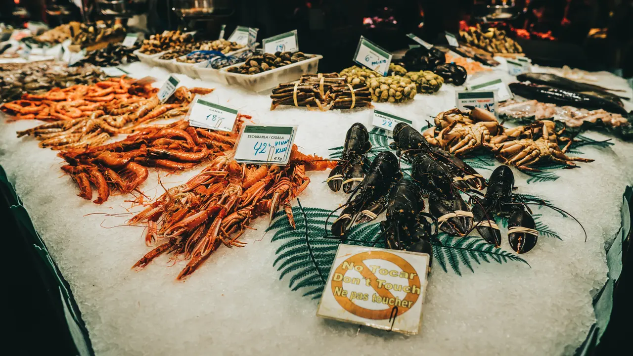 Ilustrasi resep masakan, seafood