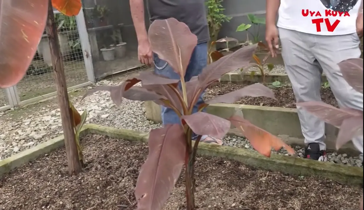 Uya Kuya (Youtube/Uya Kuya TV)