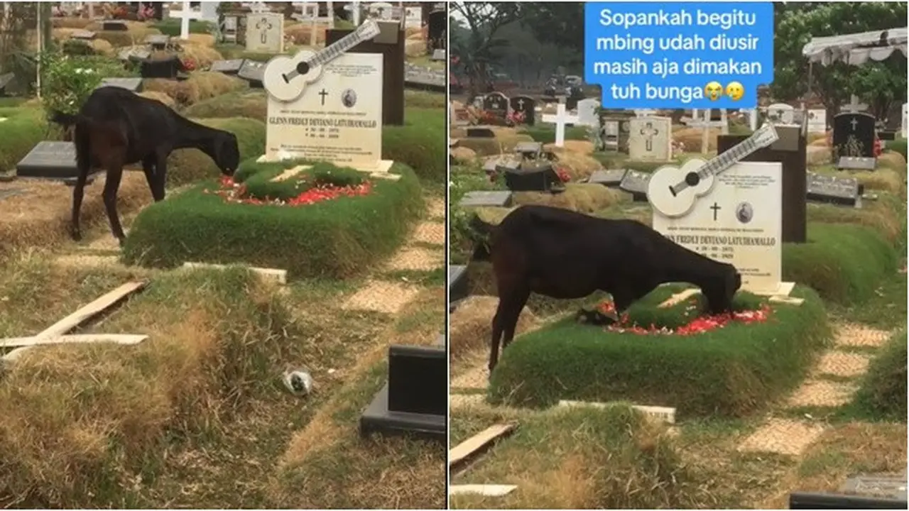 Viral Kambing Makan Bunga di Atas Makam Glenn Fredly, Posisi Kaki Jadi Sorotan