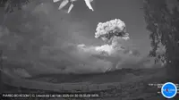 Gunung Lewotobi Laki-Laki di Flores Timur NTT kembali erupsi pada Rabu pagi (30/4/2025), pukul 05.22 Wita. (Liputan6.com/ Dok PVMBG)