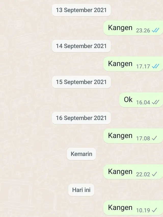 6 Chat Kangen Gebetan Tapi Dicuekin Ini Bikin Senyum Tipis