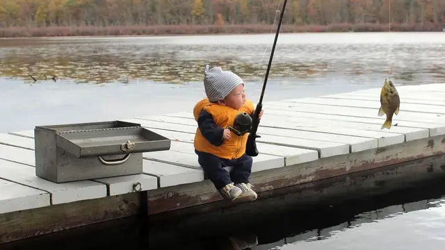 editan bayi menggemaskan (foto: Boredpanda)