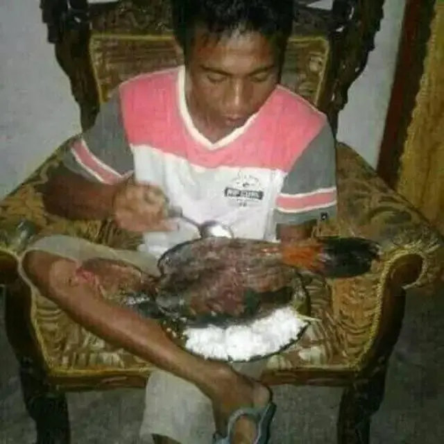 9 Tingkah Ayam Ganggu Manusia Ini Bikin Geregetan, Kocak