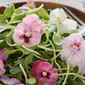 Ingin tahu bagaimana cara membuat crepes dengan topping edible flower yang cantik dan lezat.  (Foto: Istockphoto)