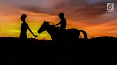 Seorang remaja hendak pulang bersama kuda peliharaanya. Kuda menjadi salah satu ciri dari Sumba Timur. Berdasarkan sejarah dahulu kala kuda memiliki peranan penting dalam peperangan di wilayah Sumba. (Liputan6.com/Johan Tallo)