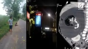 Video Hit hari ini menamplkan bayi 7 bulan yang hamil, pria yang pukuli orang gila, dan running text tak senonoh di hotel. 